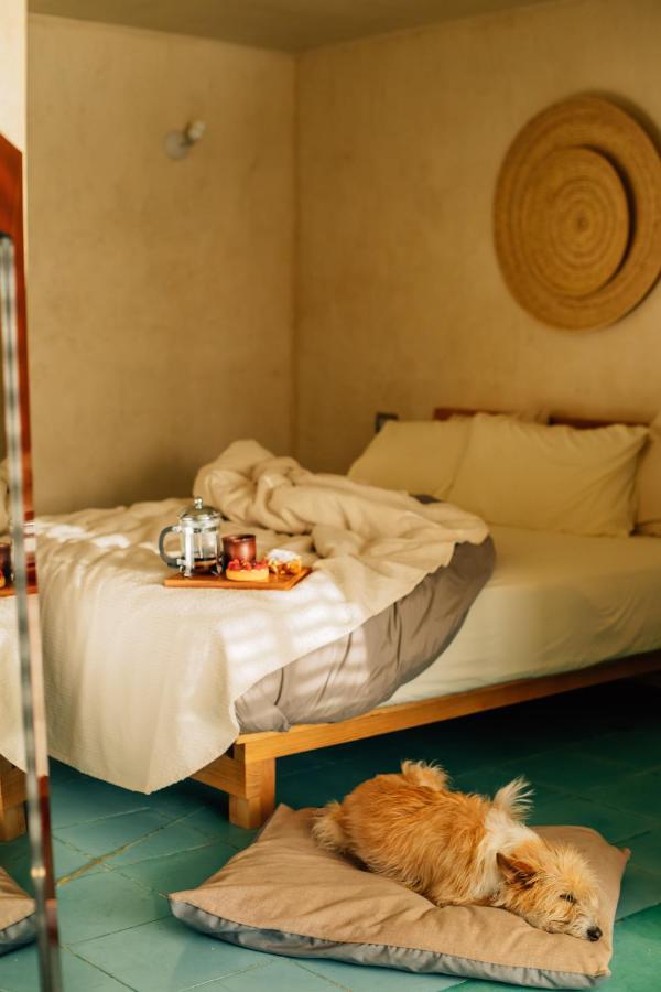 Boulenc Bed And Bread Hotel Oaxaca Kültér fotó