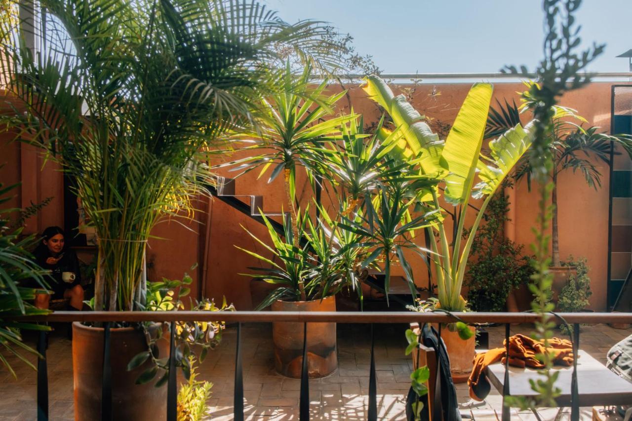 Boulenc Bed And Bread Hotel Oaxaca Kültér fotó